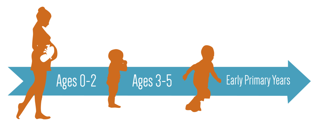 What is early childhood? Infant/toddler, ages 0-2; Preschooler, ages 3-5; Early primary years, ages 5- 8