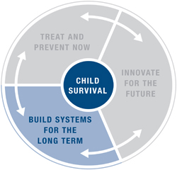 Build Systems for the Long Term