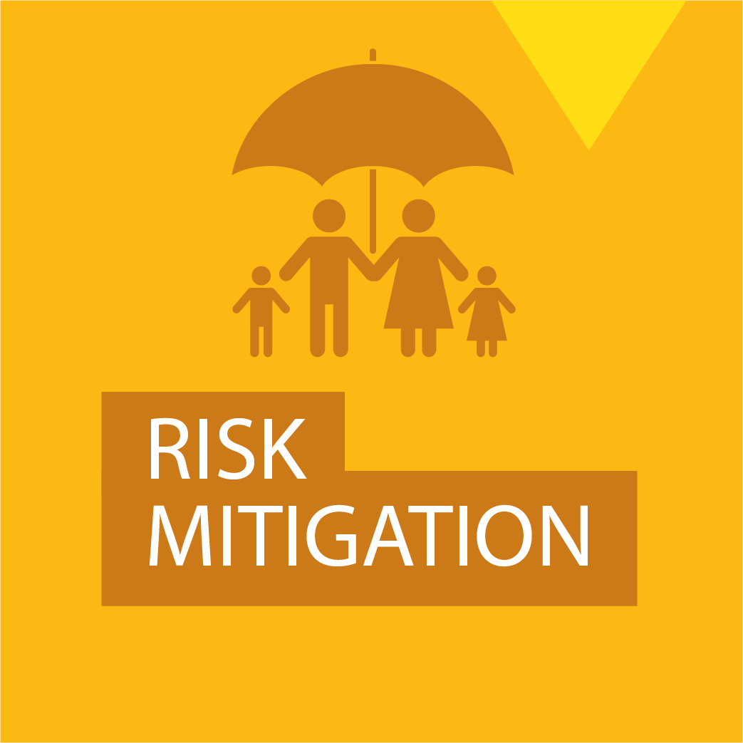 Risk Mitigation