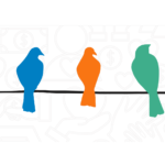 Colorful birds sitting on a line