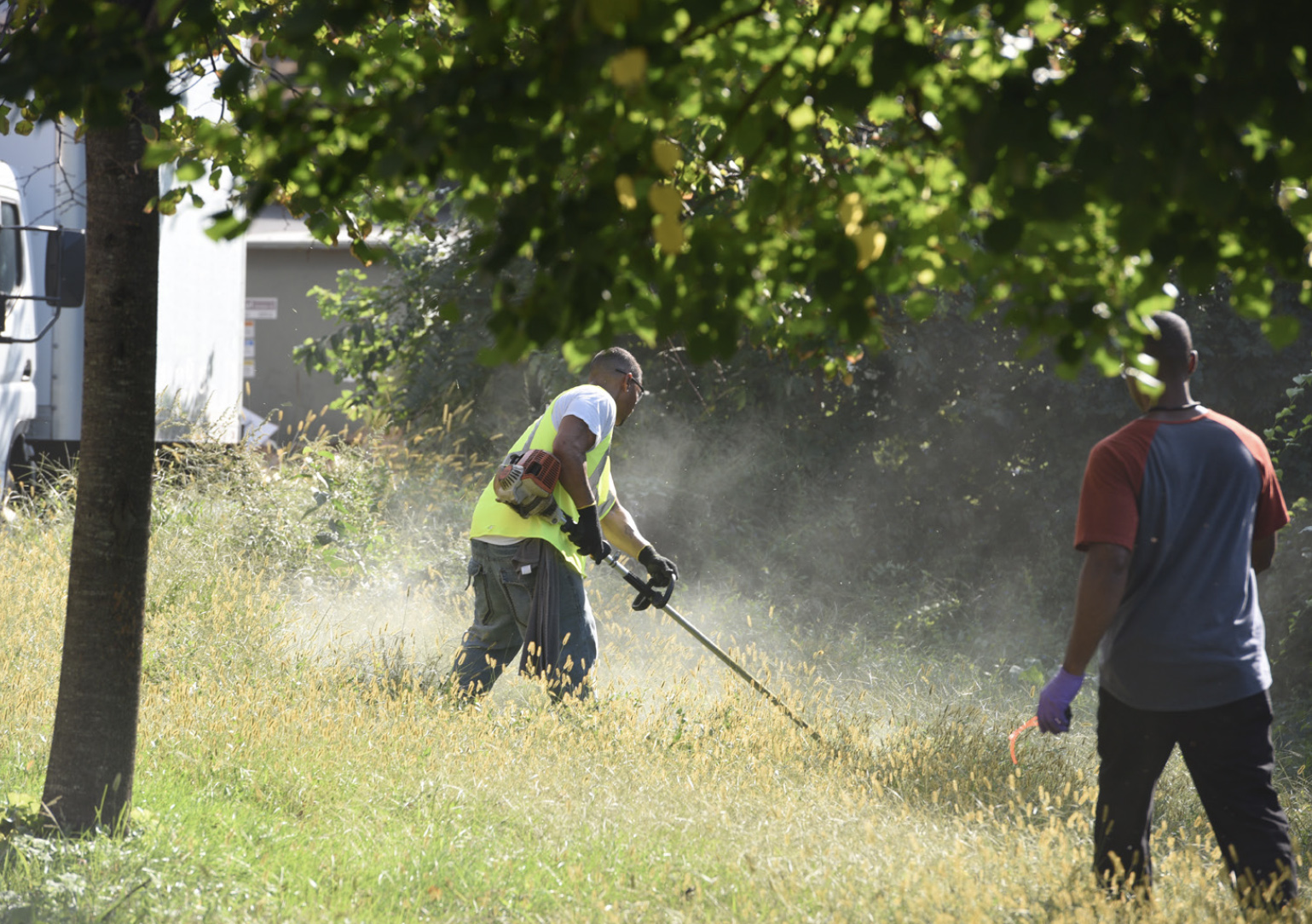 Men doing landscaping