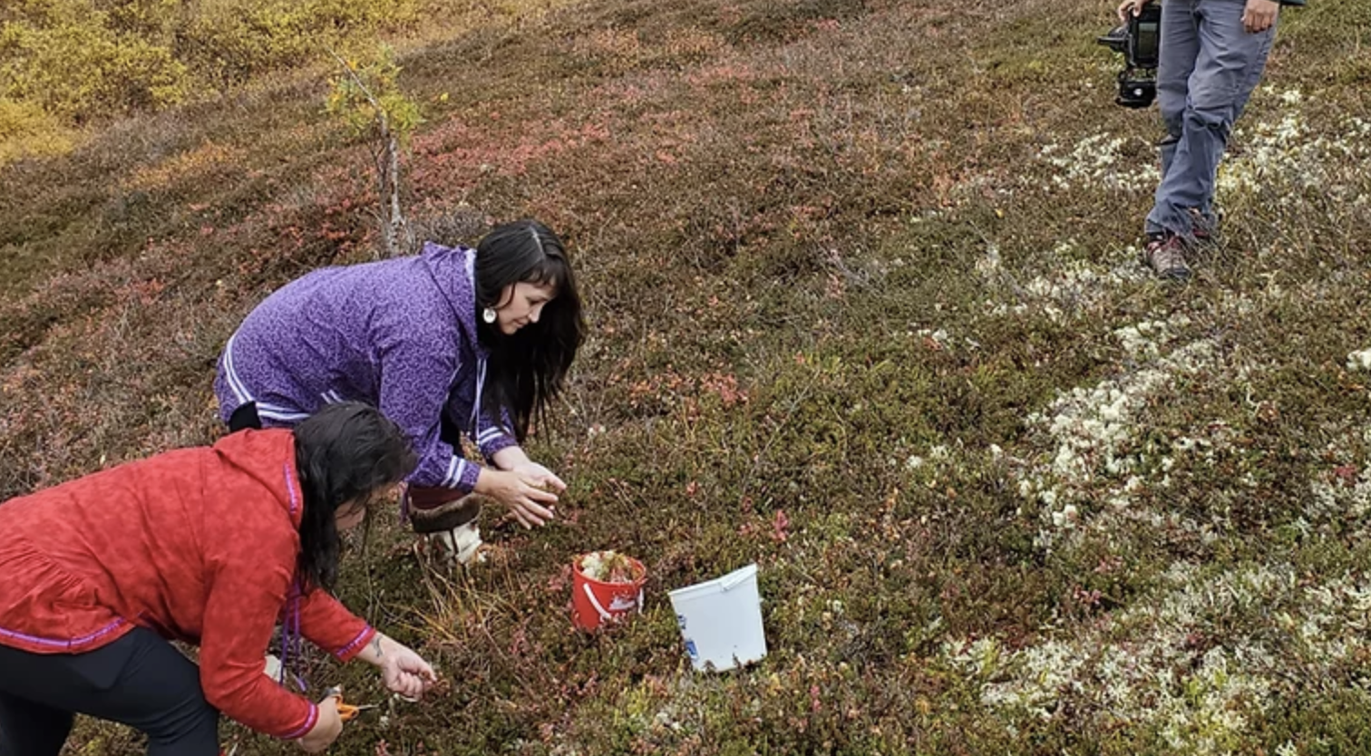 Two native women in red and purple hoodies planting seeds
